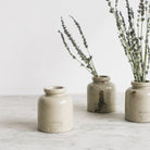 Trio of Petite Stoneware Mustard Pots - elsie green - The French Kitchen
