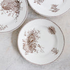 Trio Of Succursale Transferware Platters - elsie green - The French Kitchen