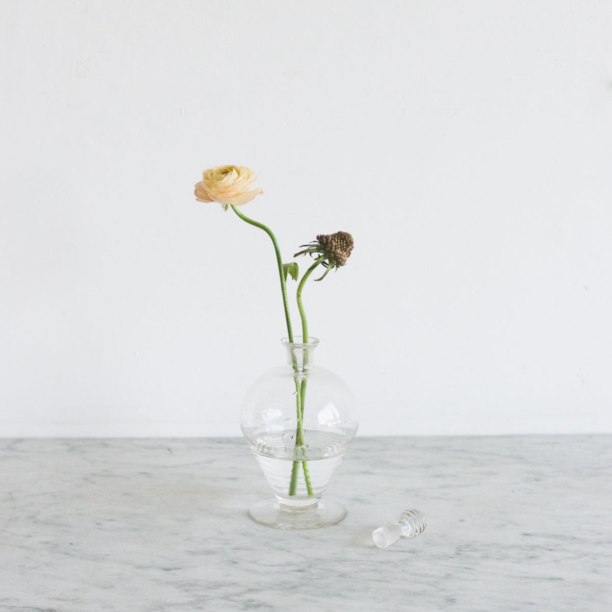 Single yellow flower in a clear glass vase on a marble surface with a white background