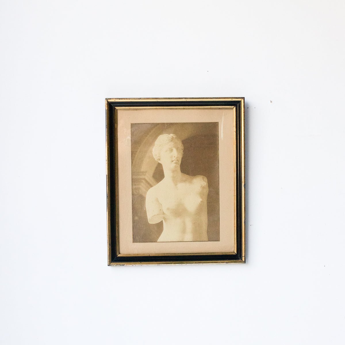 Venus De Milo At Musee Du Louvre Photograph - elsie green - Art