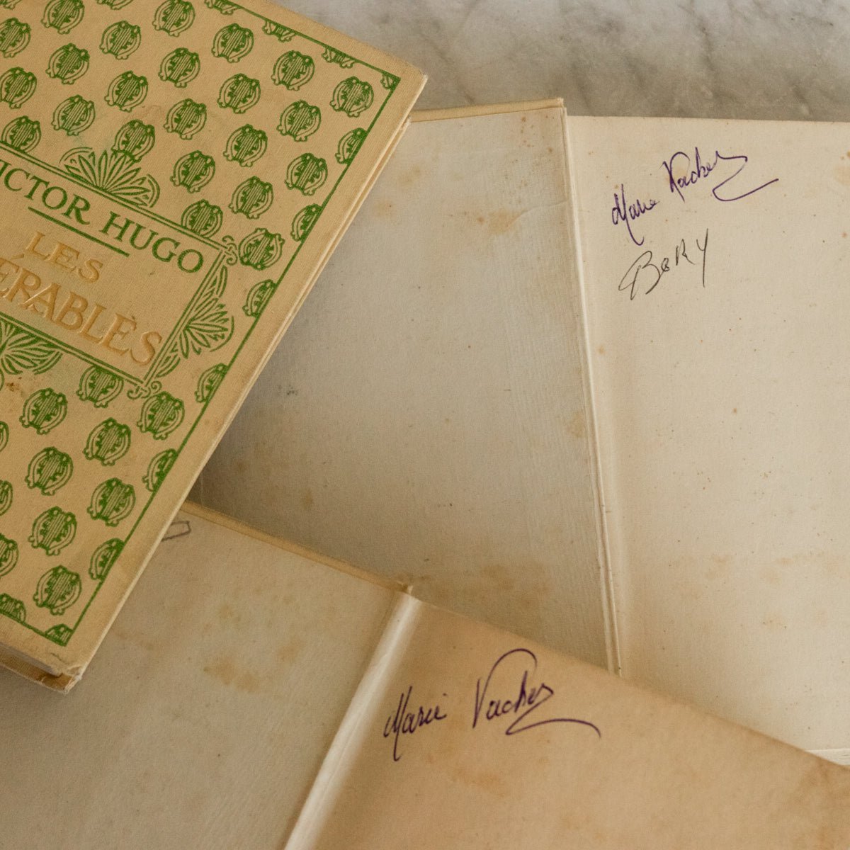 Victor Hugo Volumes - elsie green - decor