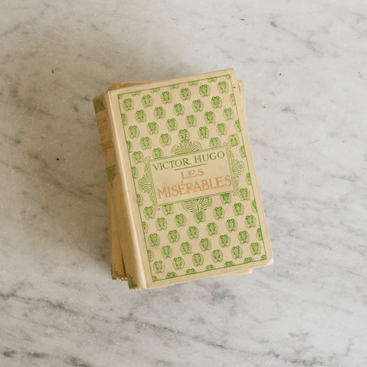 Victor Hugo Volumes - elsie green - decor