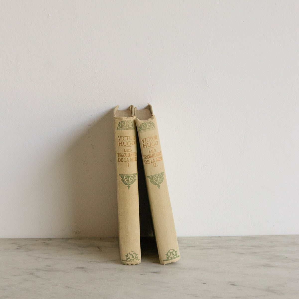 Victor Hugo Volumes - elsie green - decor