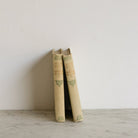 Victor Hugo Volumes - elsie green - decor