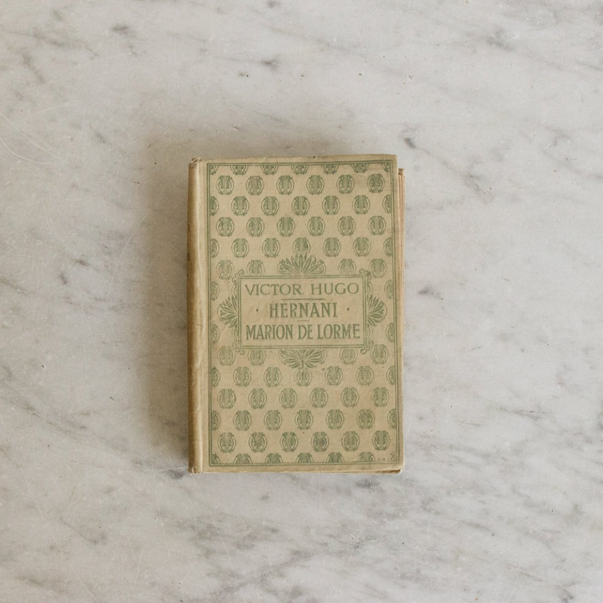 Victor Hugo Volumes - elsie green - decor