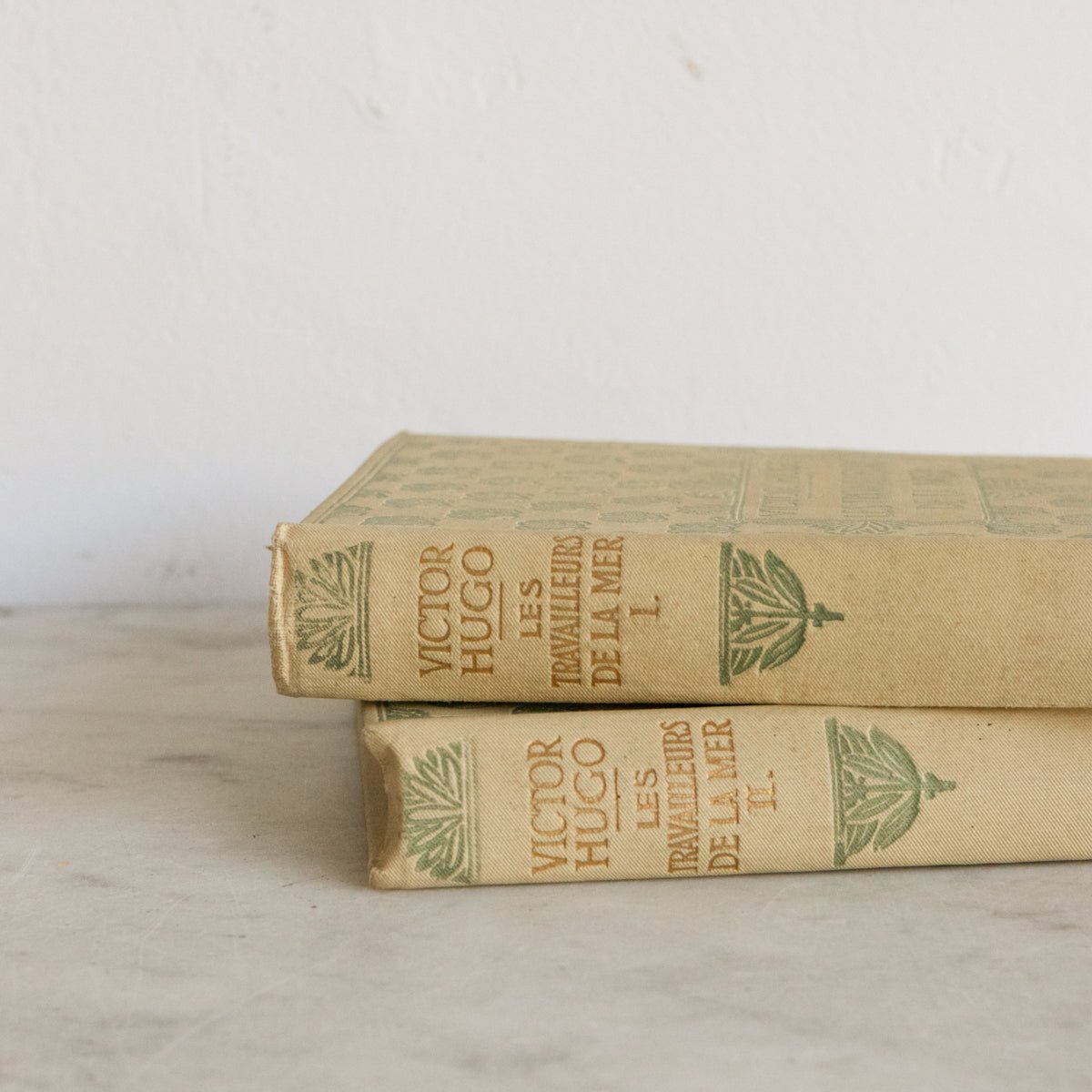 Victor Hugo Volumes - elsie green - decor