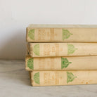 Victor Hugo Volumes - elsie green - decor