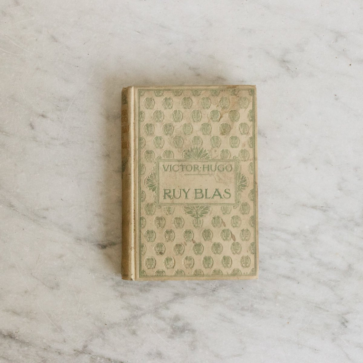 Victor Hugo Volumes - elsie green - decor
