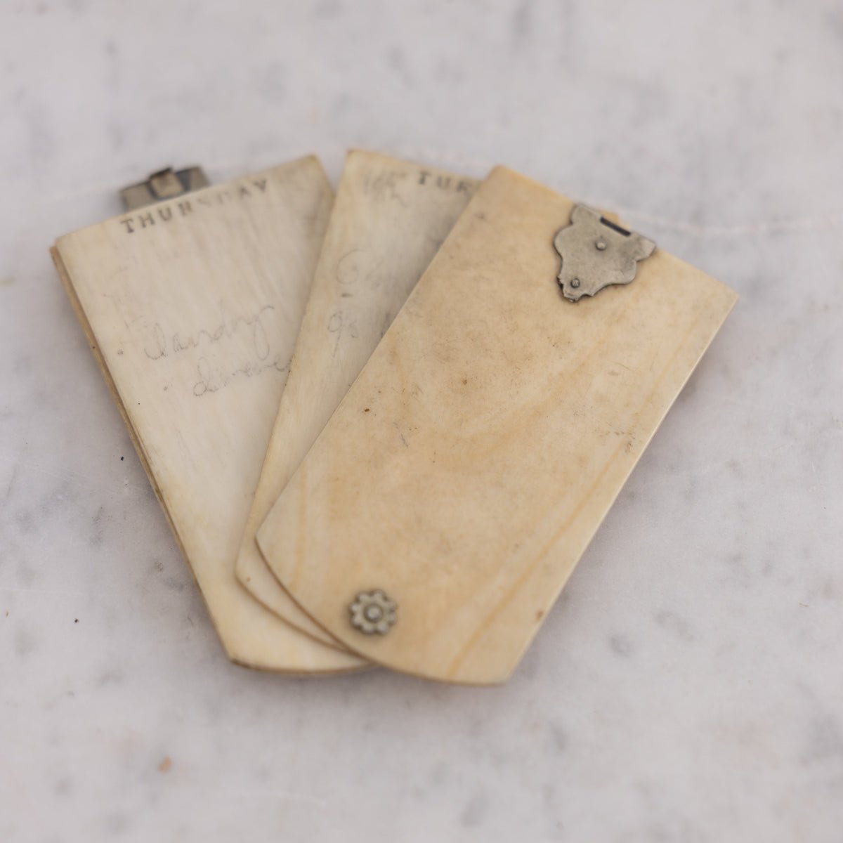 Victorian Bone Aide Memoire - elsie green - decor