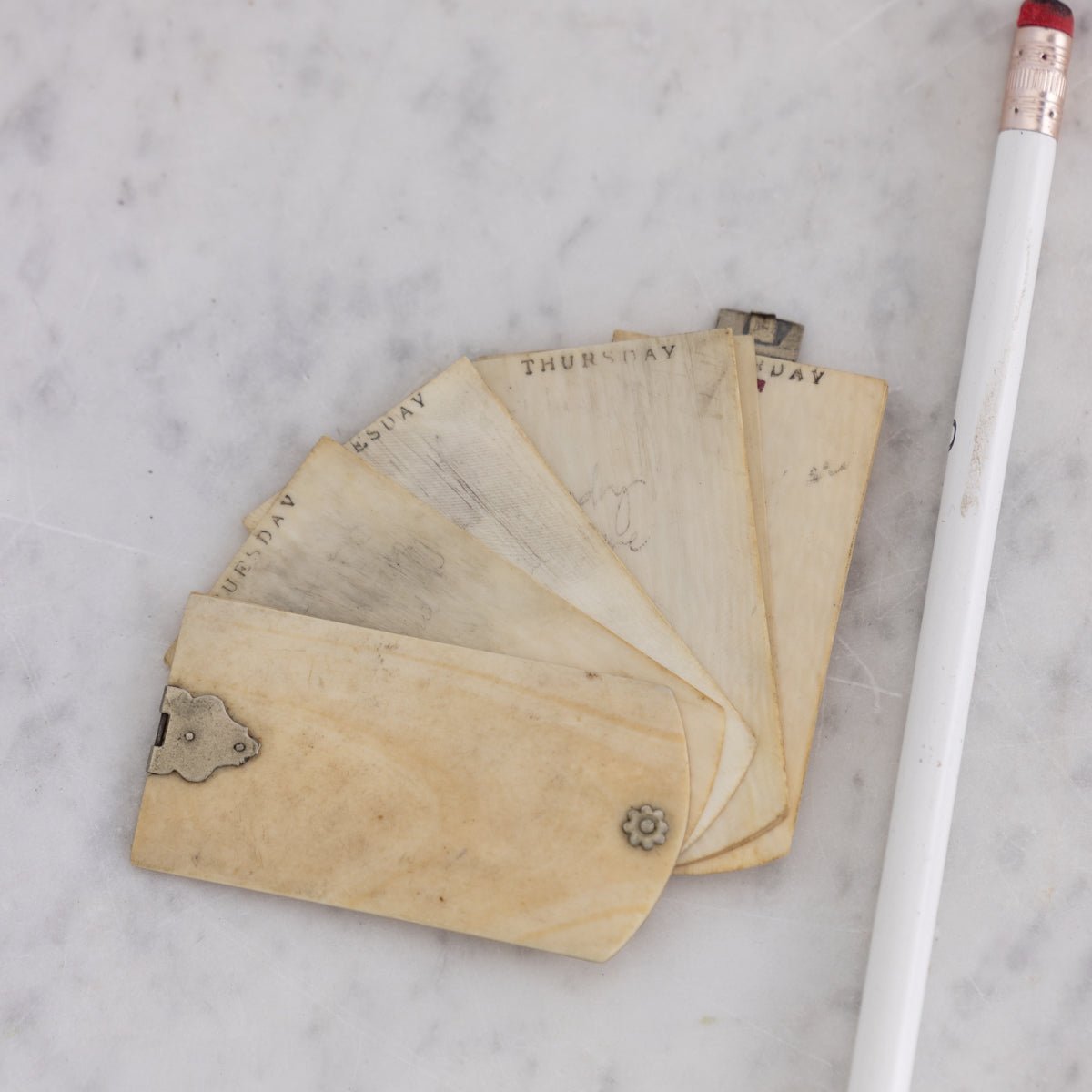 Victorian Bone Aide Memoire - elsie green - decor