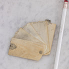 Victorian Bone Aide Memoire - elsie green - decor