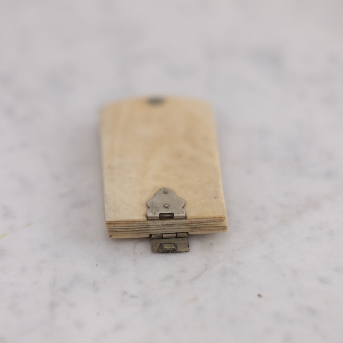 Victorian Bone Aide Memoire - elsie green - decor