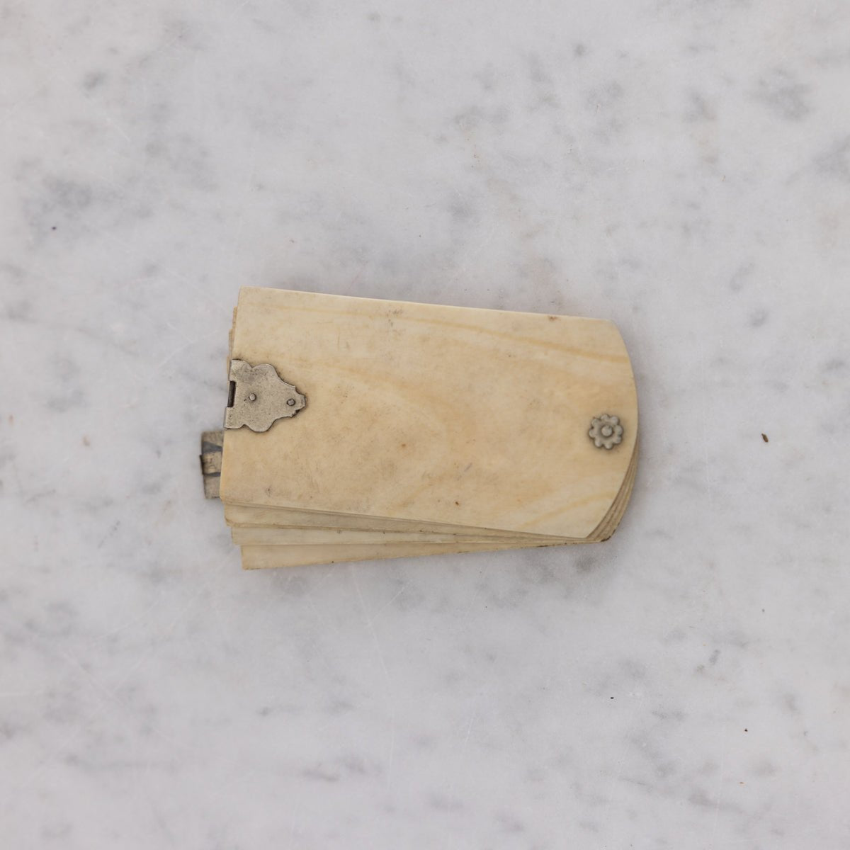 Victorian Bone Aide Memoire - elsie green - decor