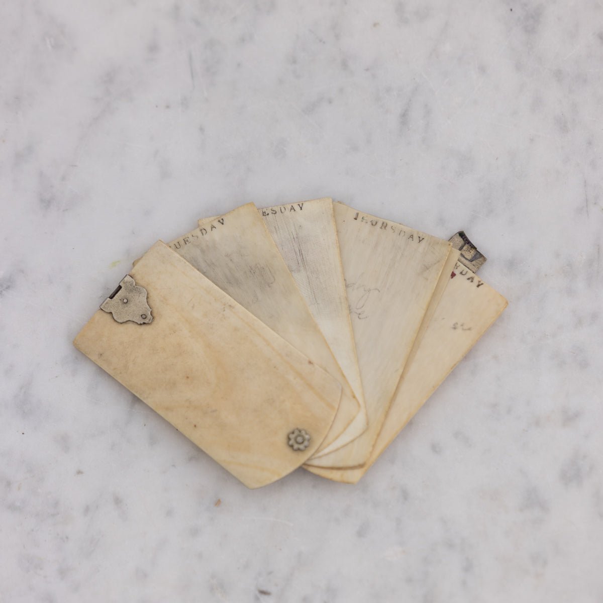 Victorian Bone Aide Memoire - elsie green - decor