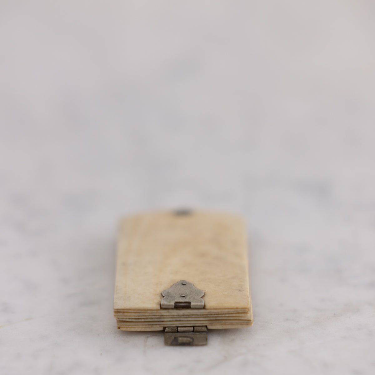 Victorian Bone Aide Memoire - elsie green - decor