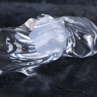 Vintage Baccarat Crystal Coupe - elsie green - decor