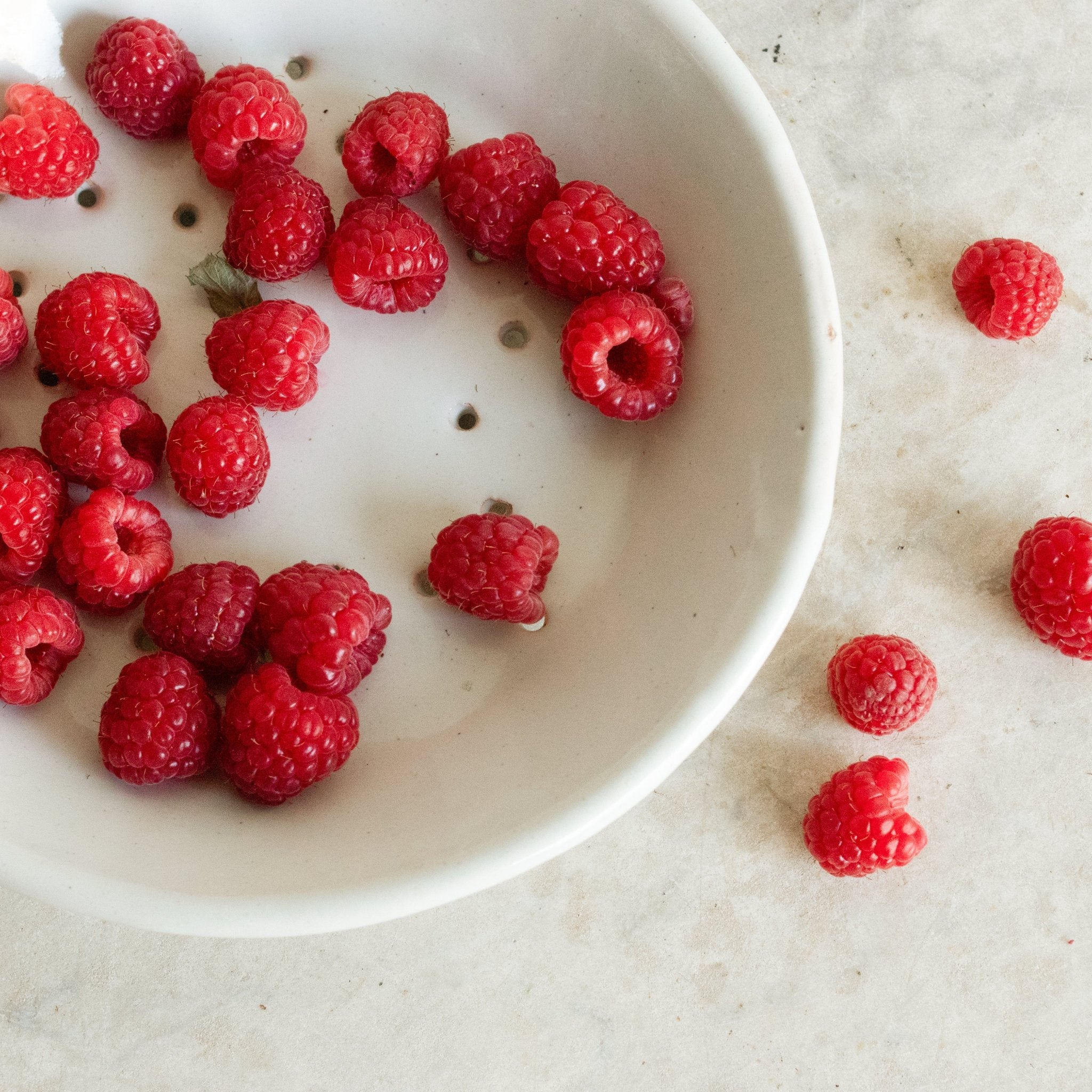 Vintage Berry Bowl - elsie green - the french kitchen