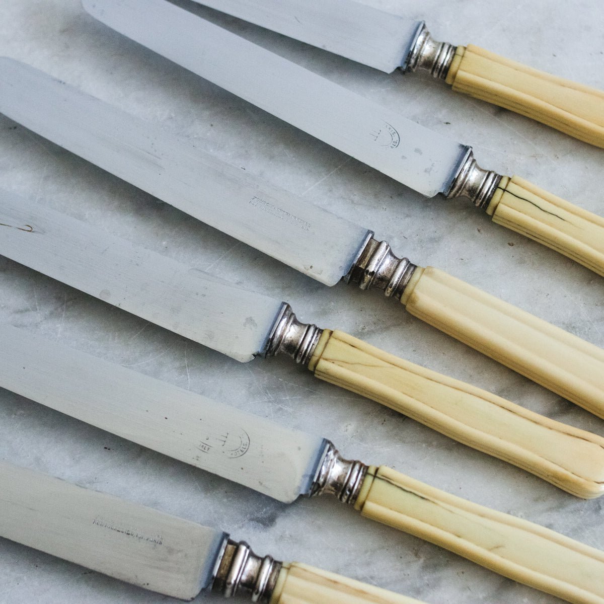 Vintage Bone Knife Set of 6 - elsie green - the french kitchen