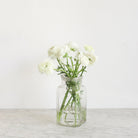 Vintage Candy Jar - elsie green - The French Kitchen