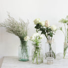 Vintage Candy Jar - elsie green - The French Kitchen