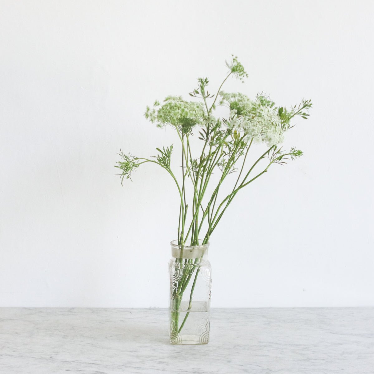 Vintage Candy Jar - elsie green - The French Kitchen