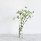 Vintage Candy Jar - elsie green - The French Kitchen