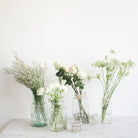 Vintage Candy Jar - elsie green - The French Kitchen