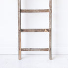 Vintage Farm Ladder - elsie green - Furniture