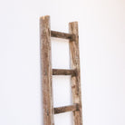 Vintage Farm Ladder - elsie green - Furniture