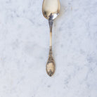 Vintage French Teaspoon Set of 10 - elsie green - the french kitchen