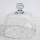 Vintage Glass Cake Dome & Antique Halphen Silver Platter - elsie green - the french kitchen
