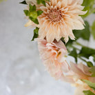 Vintage Glass Candy Jar - elsie green - Decor