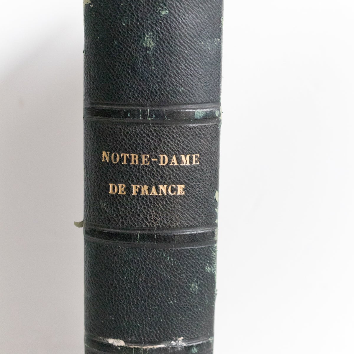 Vintage Library Book | Notre Dame de France - elsie green - decor