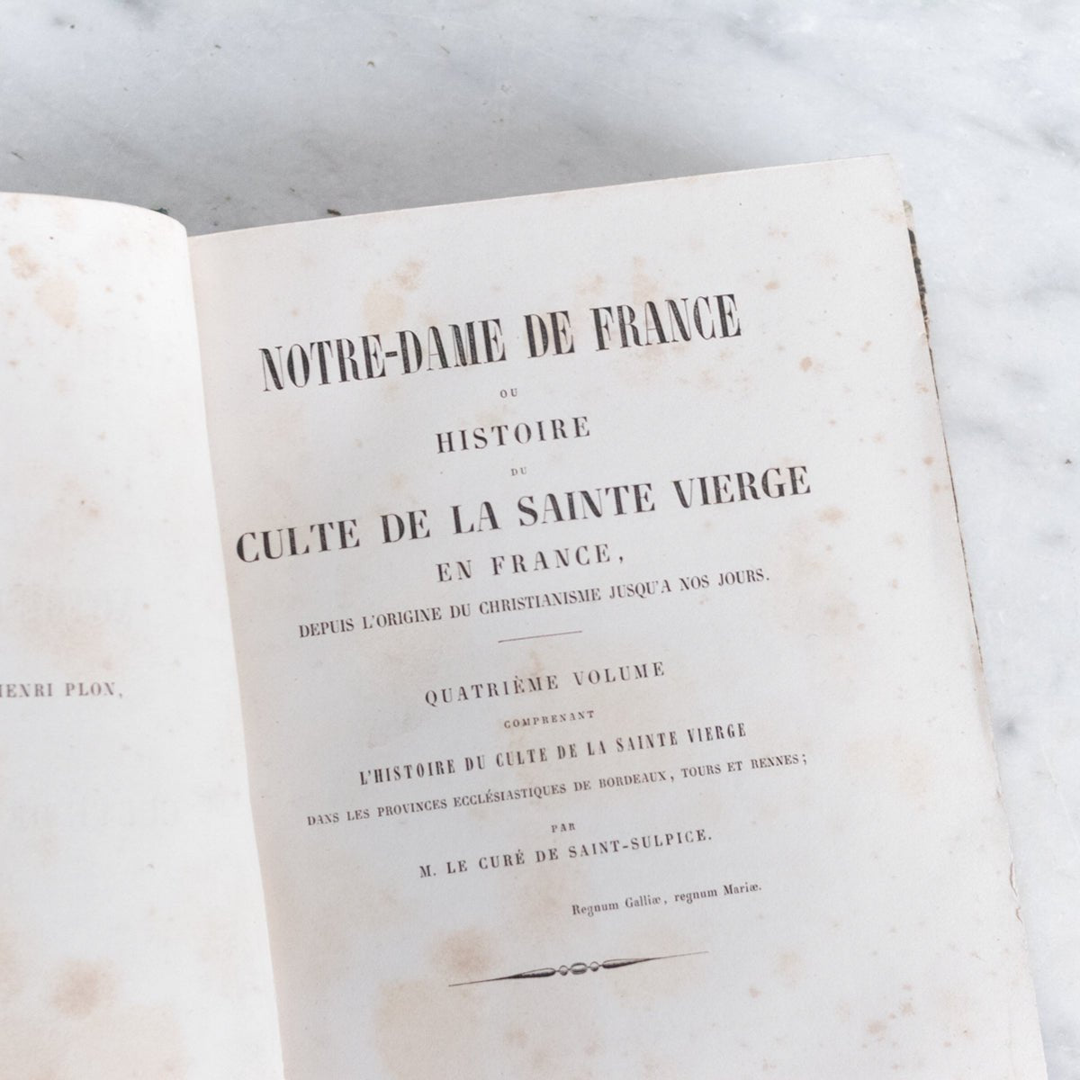 Vintage Library Book | Notre Dame de France - elsie green - decor