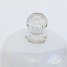 Vintage Pedestal with Glass Dome - elsie green - the french kitchen