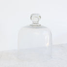 Vintage Pedestal with Glass Dome - elsie green - the french kitchen