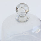 Vintage Pedestal with Glass Dome - elsie green - the french kitchen