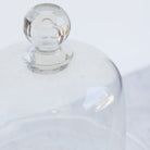 Vintage Pedestal with Glass Dome - elsie green - the french kitchen