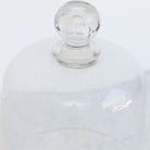 Vintage Pedestal with Glass Dome - elsie green - the french kitchen