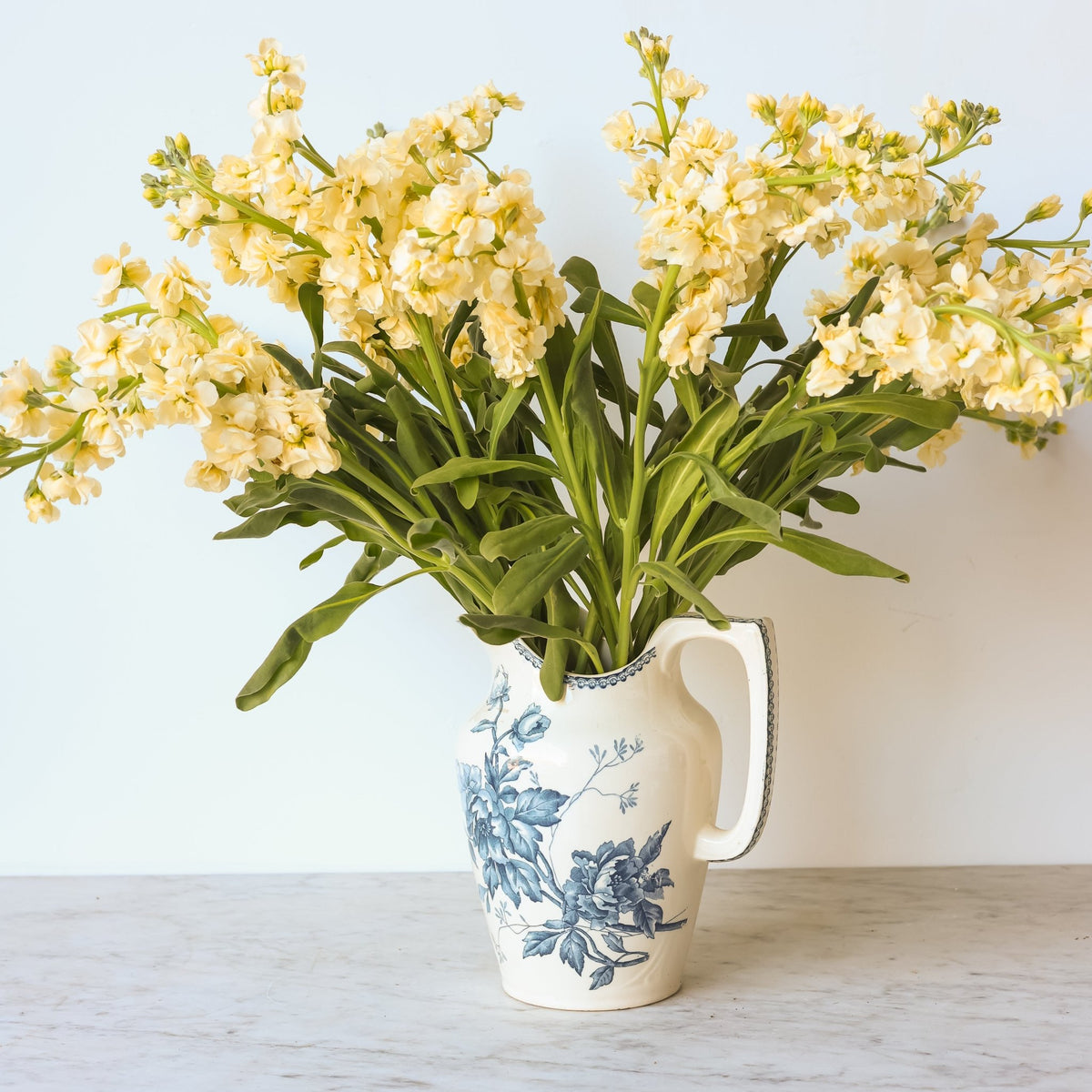 Vintage Pivoine Transferware Pitcher - elsie green - the french kitchen