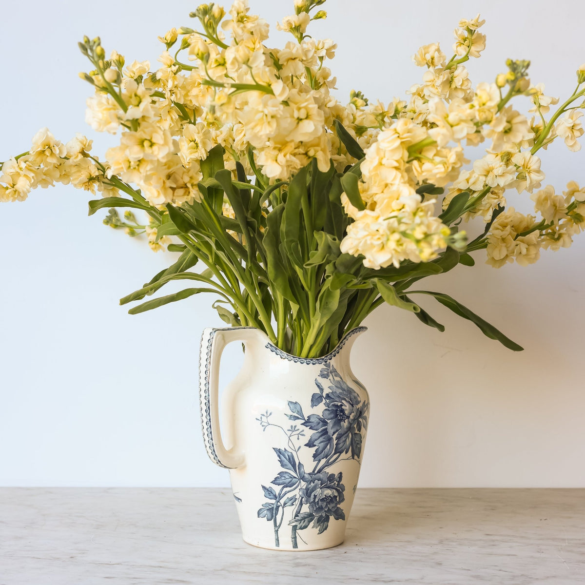Vintage Pivoine Transferware Pitcher - elsie green - the french kitchen