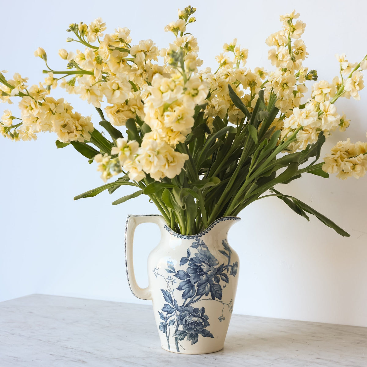 Vintage Pivoine Transferware Pitcher - elsie green - the french kitchen