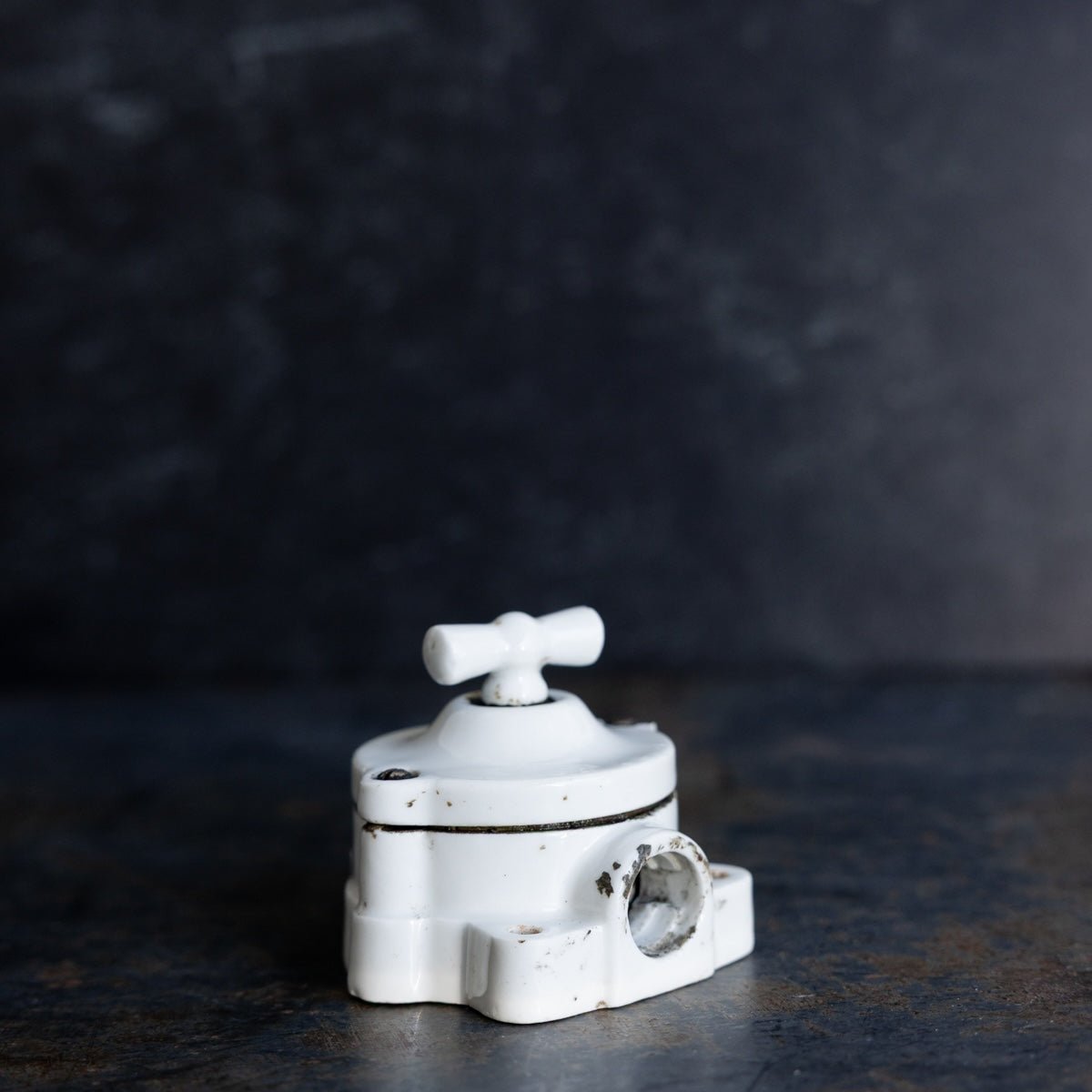 Vintage Porcelain Switch - elsie green - decor
