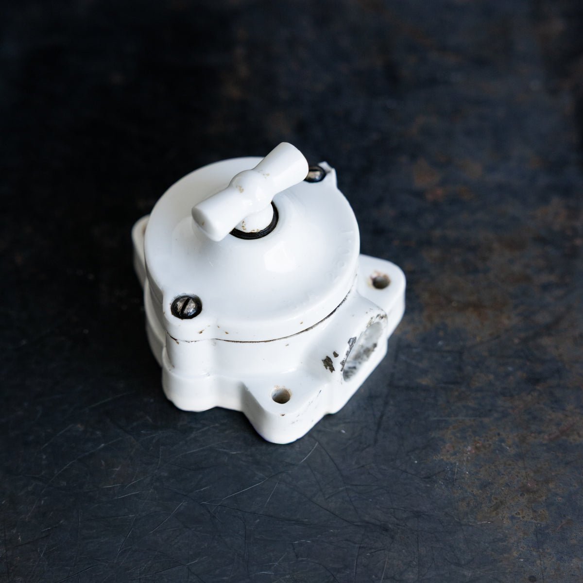 Vintage Porcelain Switch - elsie green - decor