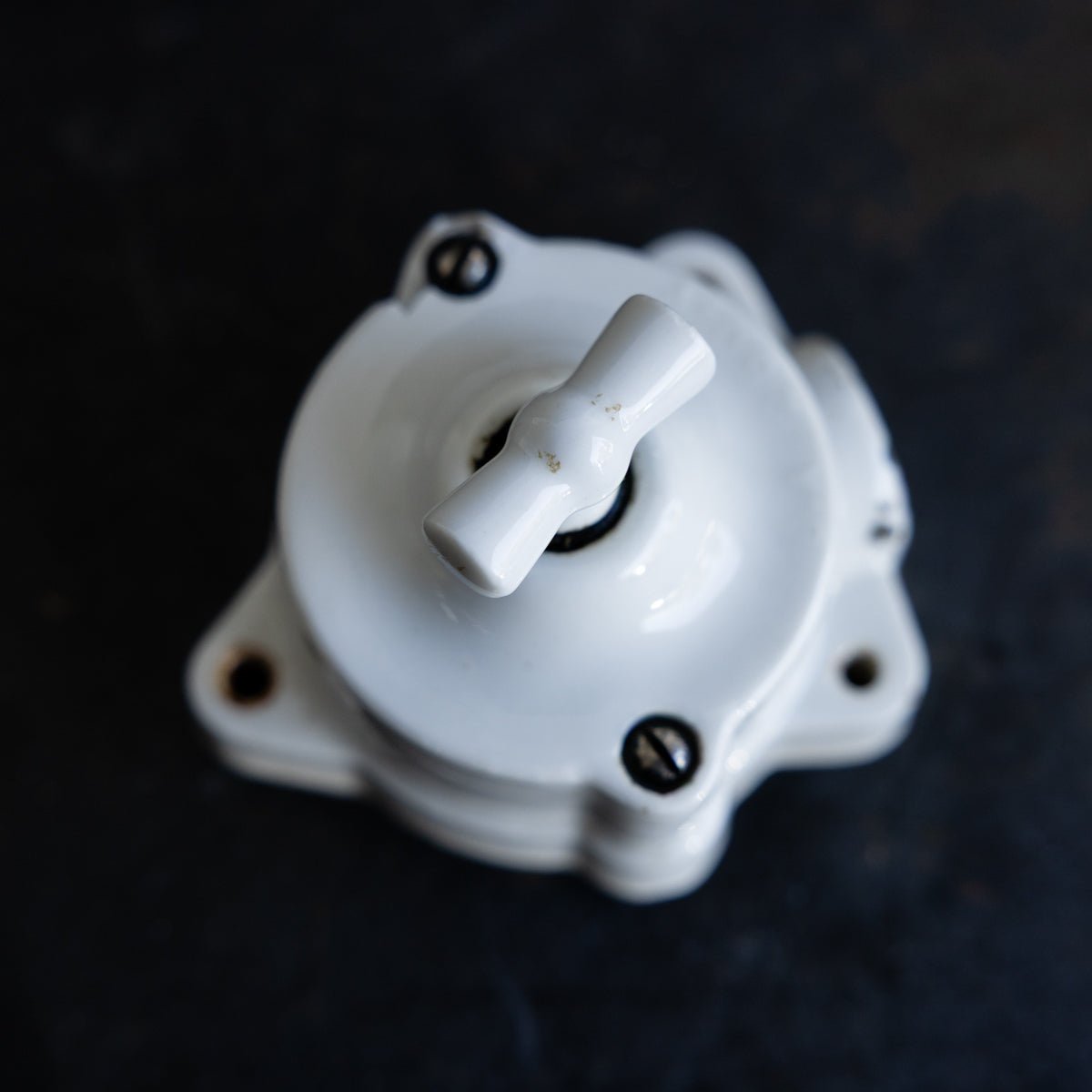 Vintage Porcelain Switch - elsie green - decor