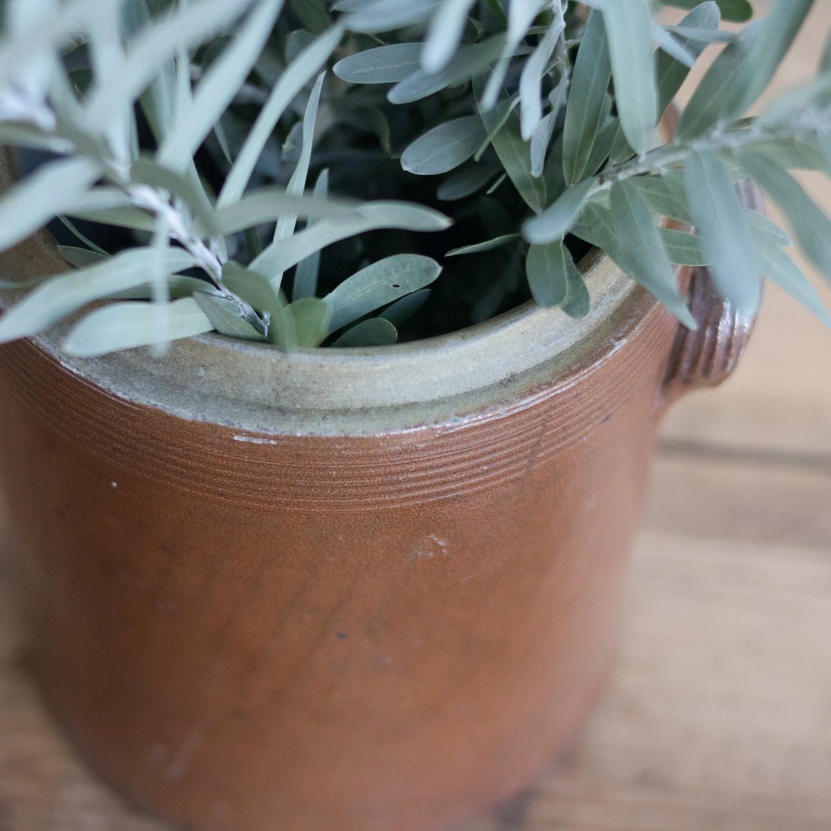 Vintage Stoneware Crock With Lid | Brown - elsie green - The French Kitchen