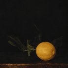 Winter Lemon | Jefferson Hayman - elsie green - art