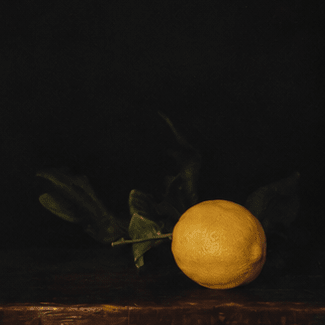 Winter Lemon | Jefferson Hayman - elsie green - art