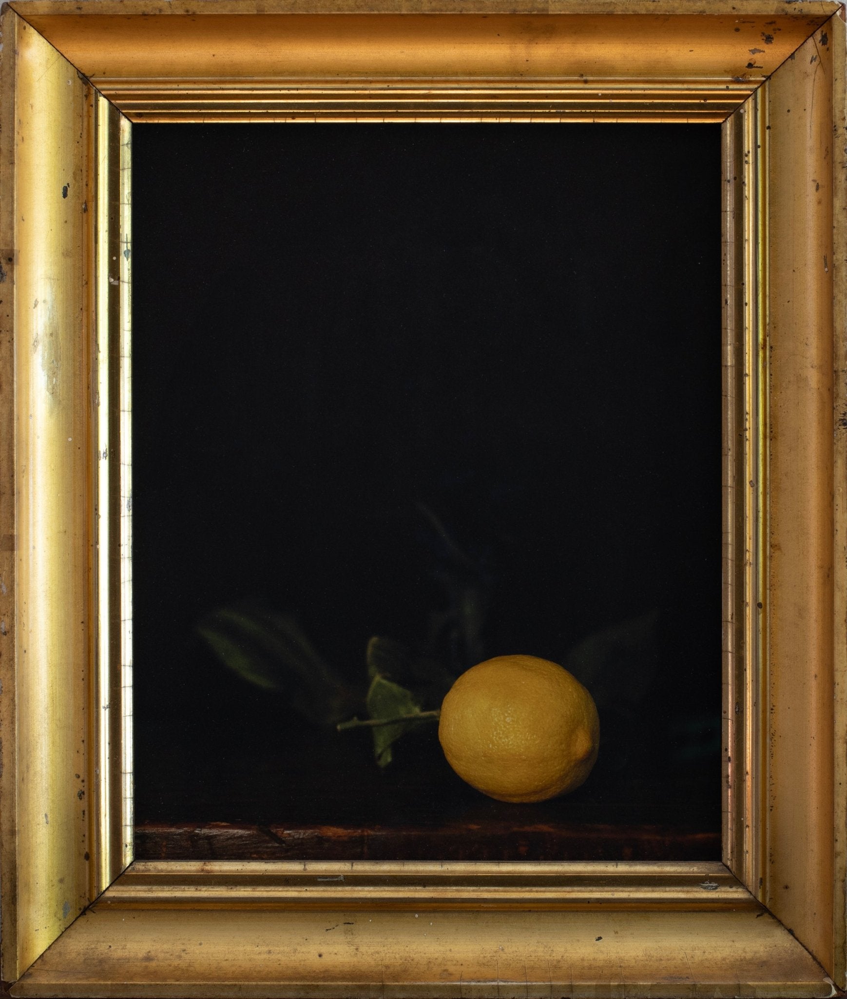 Winter Lemon | Jefferson Hayman - elsie green - art