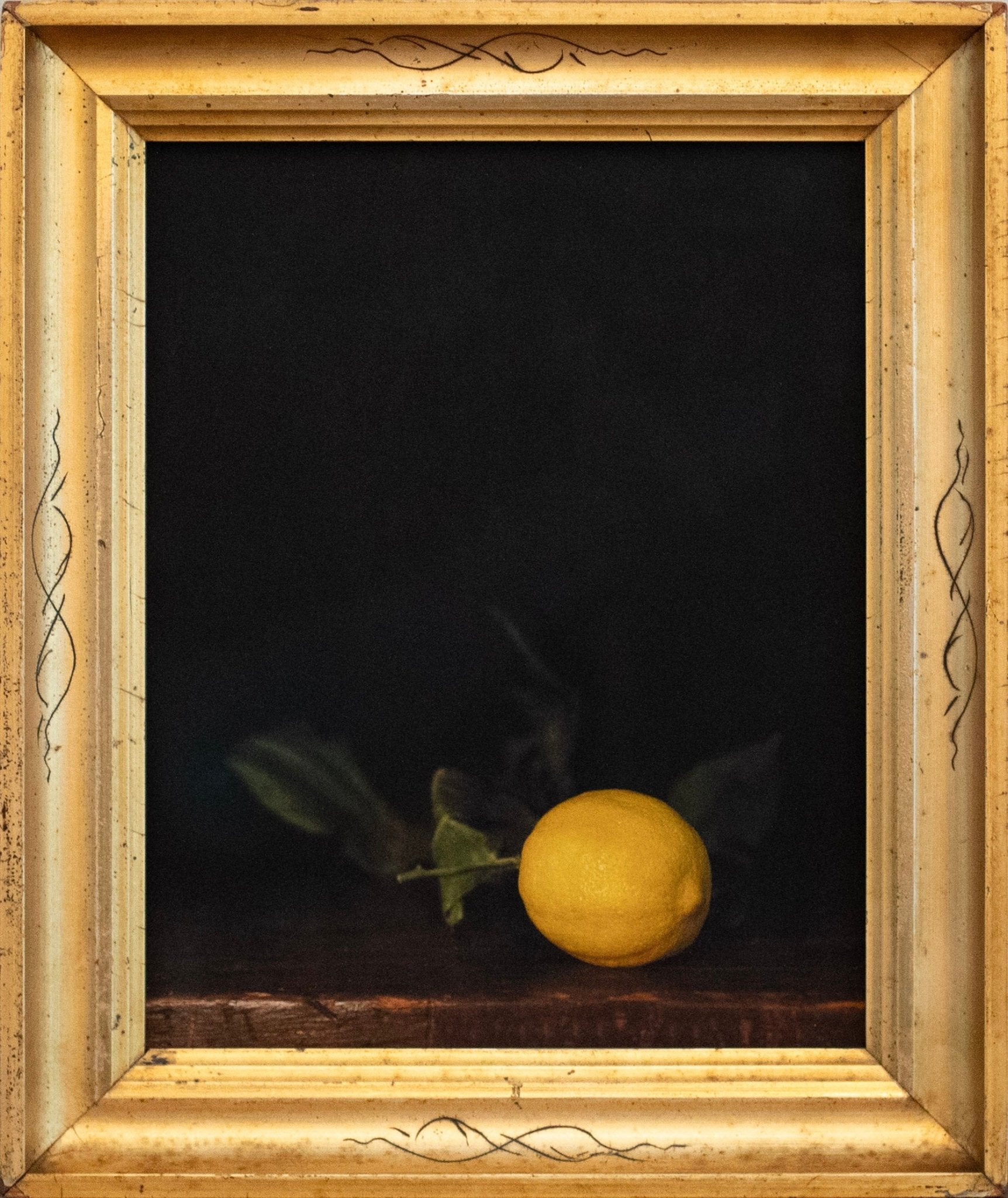 Winter Lemon | Jefferson Hayman - elsie green - art